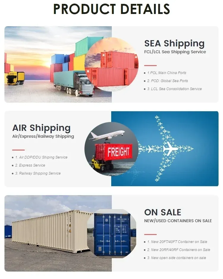 Shanghai Ningbo 20gp 40hq LCL Container Freight to Basel Zurich Switerland