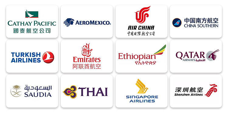 Door-to-Door Shipping Air Cargo Charter Bulk Goods Transportation for Urgent Shipments LCL Consolidation Cost-Effective Shipping