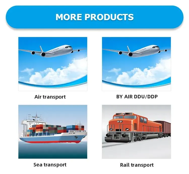 Professional One-Stop Logistics Service to Cotonou Port, DDU, DDP Terms