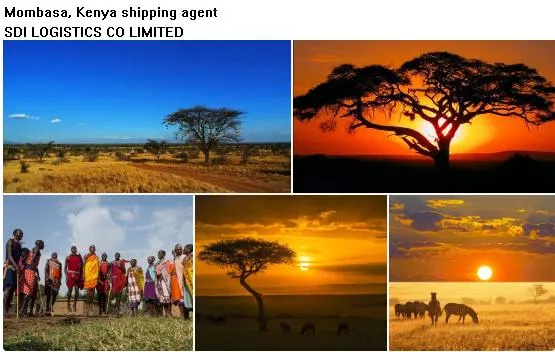 Provide Sea Freight /Ocean Freight/Shipping Fee From Shenzhen to Abidjan Port