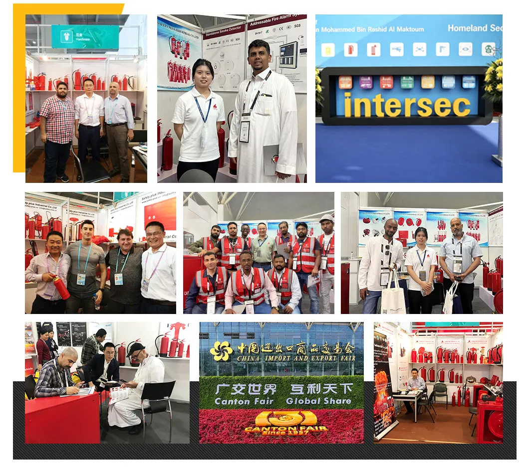Global Exhibitions