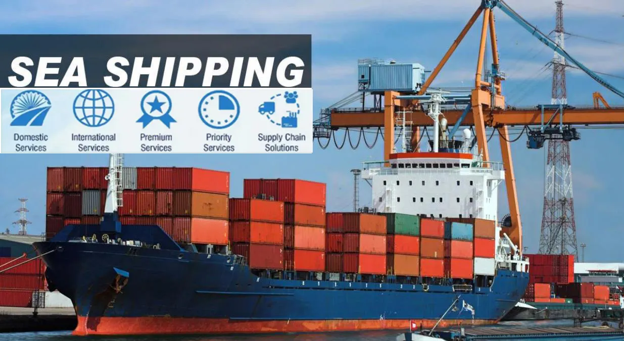 China to Global Shipping - Full Container Load / Less-Than-Container Load - One-Stop High-Quality Logistics Service
