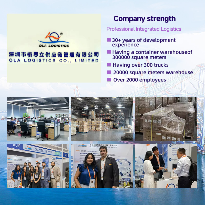 FCL Full Container Sea Freight Forwarder Agent Shipping China to Jordan AQABA 20ft/40ft Shipping Agent Logistics Services