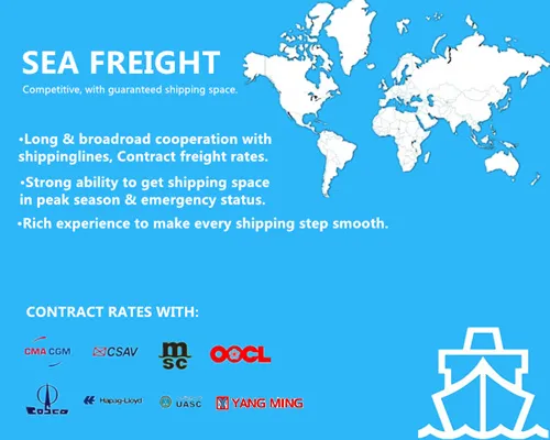 China to Mexico City FCL LCL Ocean Freight Shipping Ningbo Port
