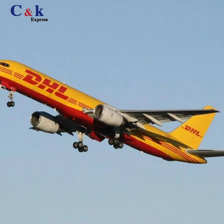 CNK Self Operated E Commerce Ocean Freight Forwarder China USA DDP Door Door Full Container Load Shipping Agent Competitive