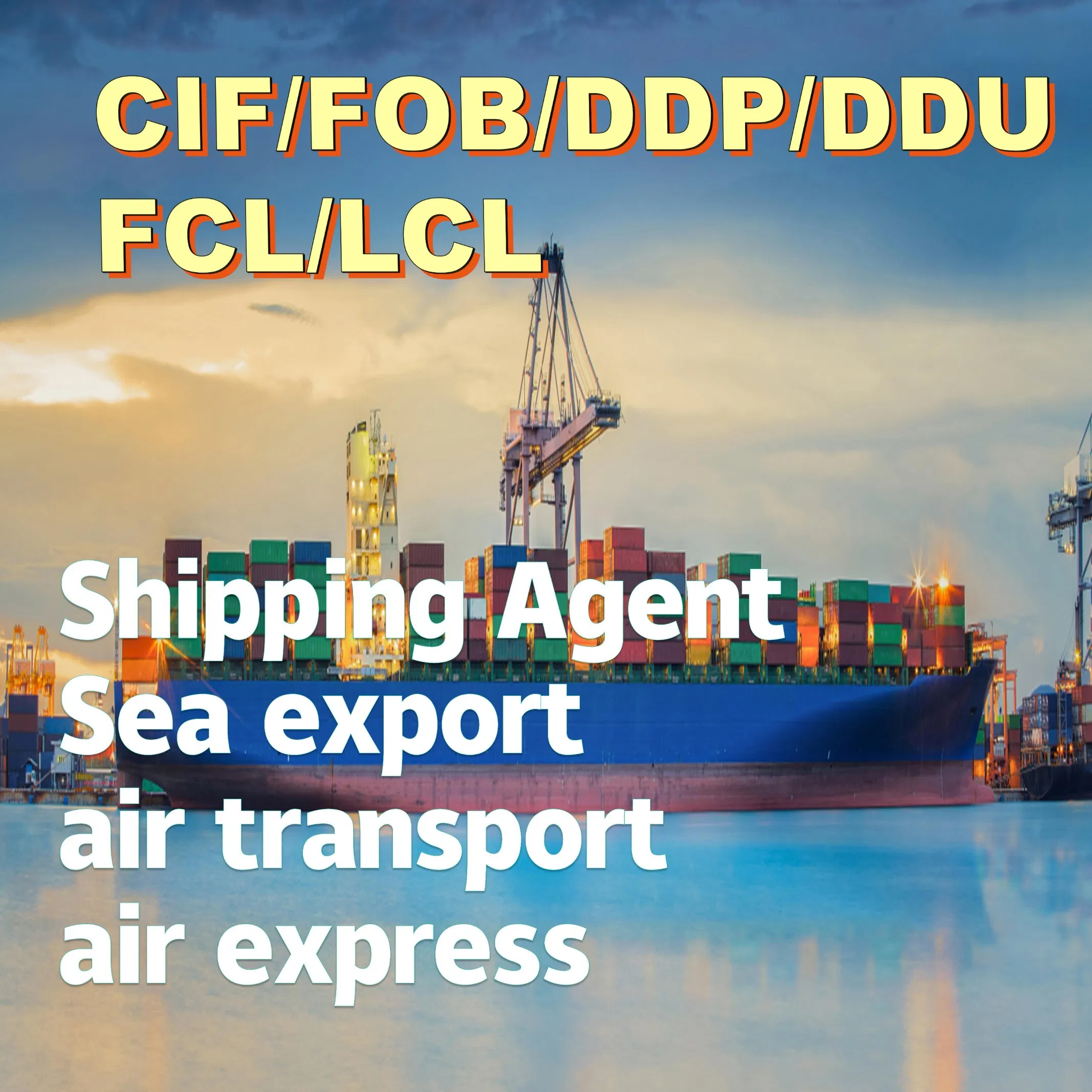 Libya Sea Freight Shipping Services From China/Fob/DDP/DDU to Libya, CIF Servies in China, FCL/LCL Freight Shipping in China to Port of Tripoli/Misurata Port