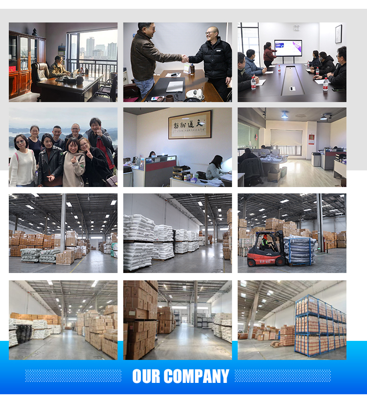 China Shipping Agent/Freight Forwarder Sea Freight FCL From China to NhavaSheva INDIA 20ft 40ft with Insurance & 24/7 Support