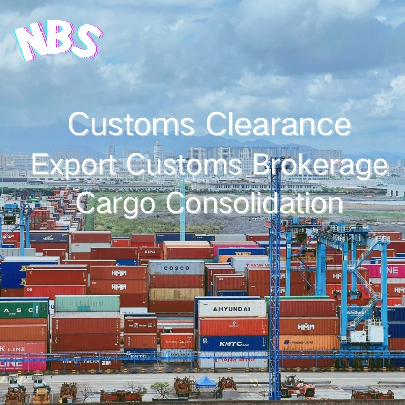 Pakistan Sea Freight Shipping Services From China/Fob/DDP/DDU to Pakistan, CIF Servies in China, FCL/LCL Freight Shipping in China to Karachi Port/Gwadar Port