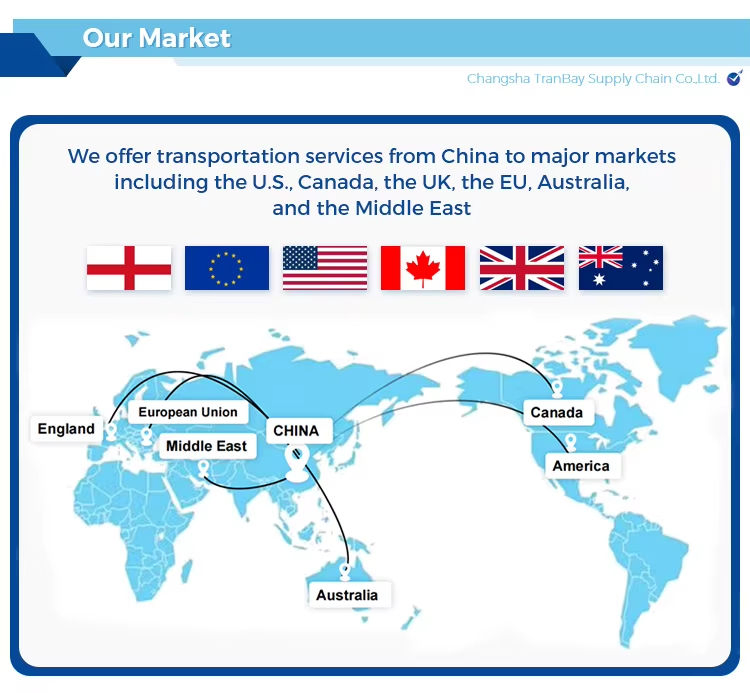 DDP DDU DAP Sea Freight Forwarder Agent Shipping From China to Dubai Saudi Arabia UAE
