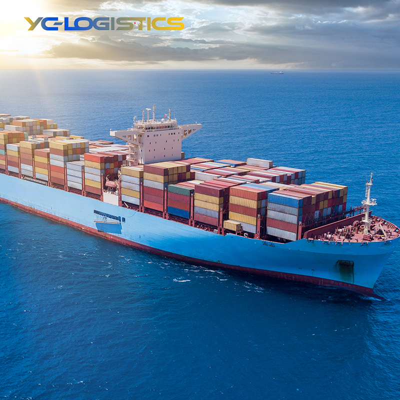 China Sea Shipping Door-to-Door Service LCL+Express Freight Forwarder To UK France Nigeria PK Germany India