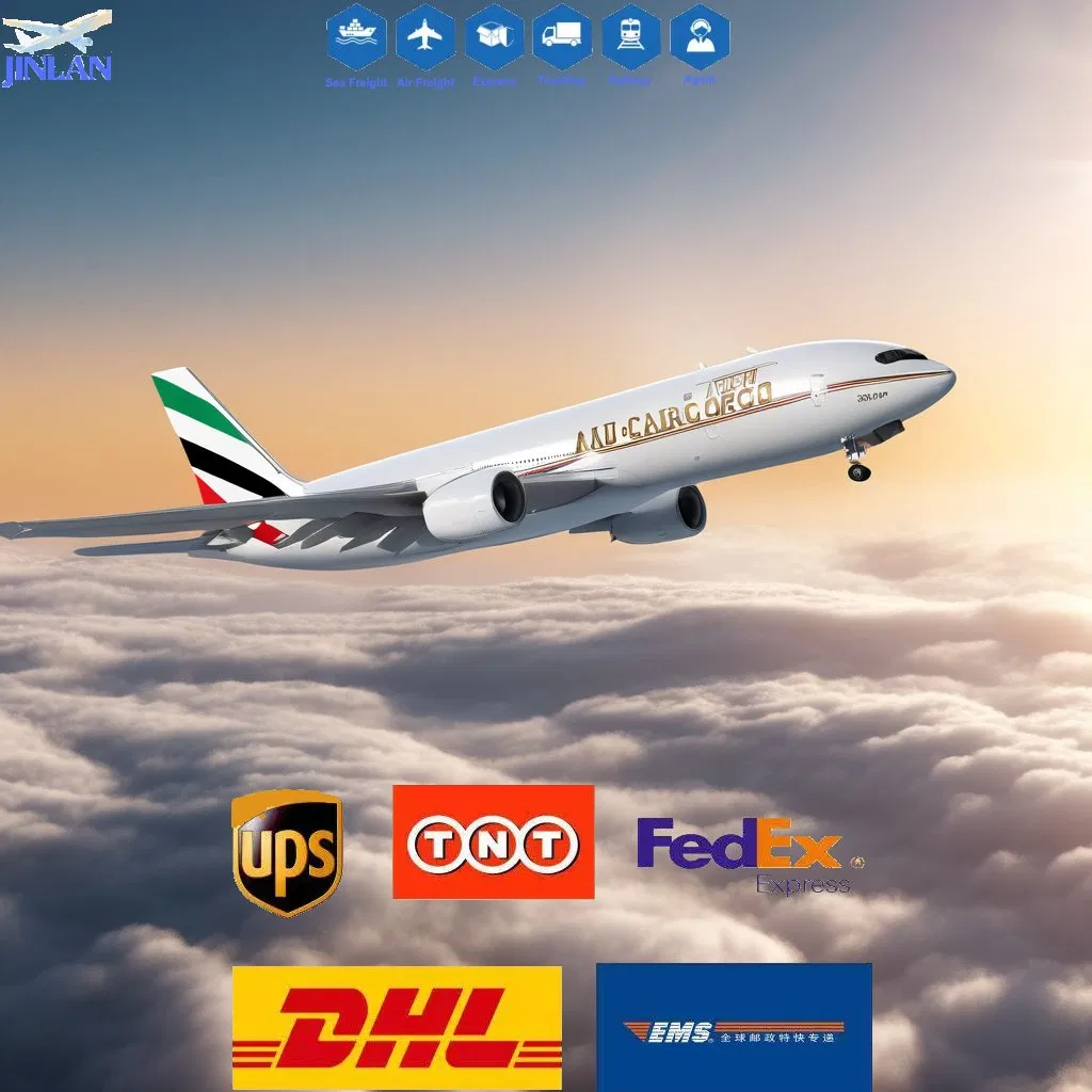 Free Consolidation From China to Worldwide for Express Delivery DDP Dropshipping for Temu Tk