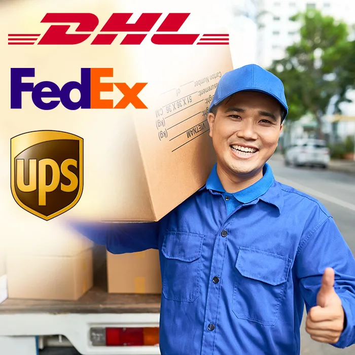 Efficient FCL Shipping