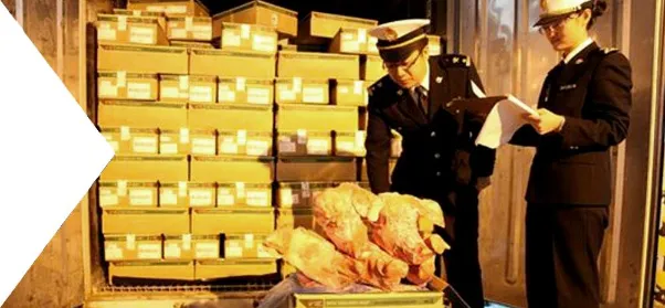 Customs Brokerage Services