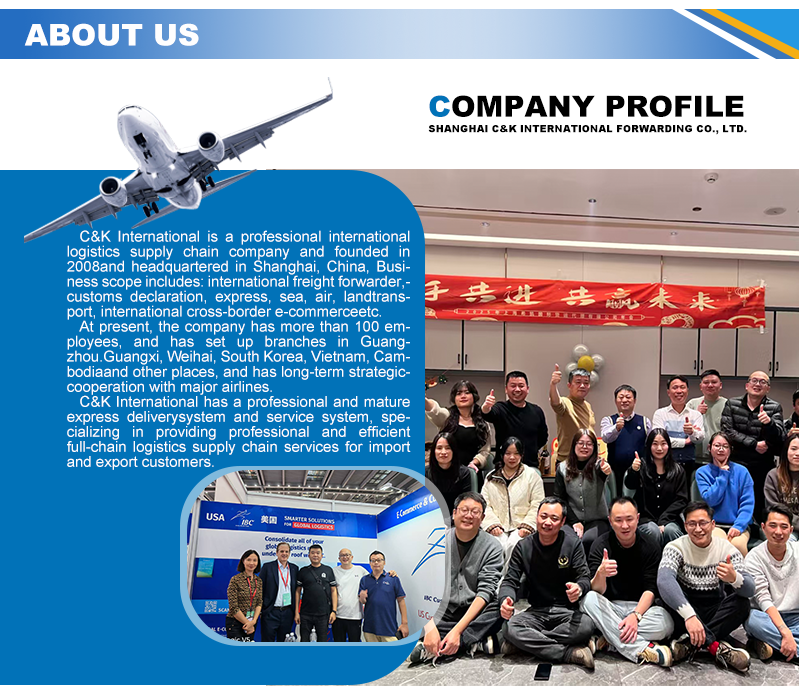 Self Operated E Commerce Ocean Freight Forwarder China USA DDP Door Door Full Container Load Shipping Agent Competitive