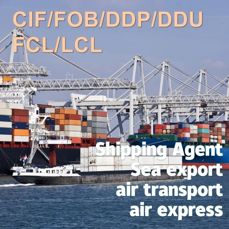 Iraq Sea Freight Shipping Services From China