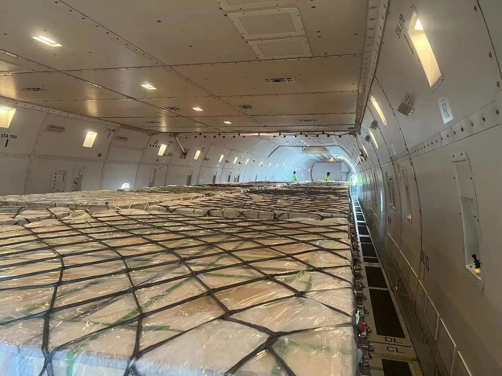 China to V. C. Bird International Airport Fpl Lpl Air Freight Forwarder