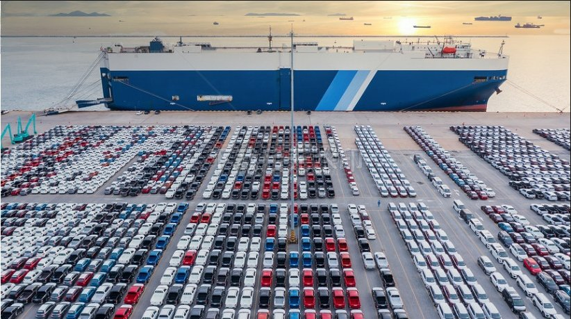 Reliable Sea Freight Forwarding From Shanghai to Algeria