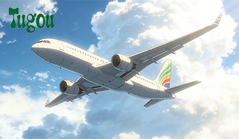 Air Freight Service