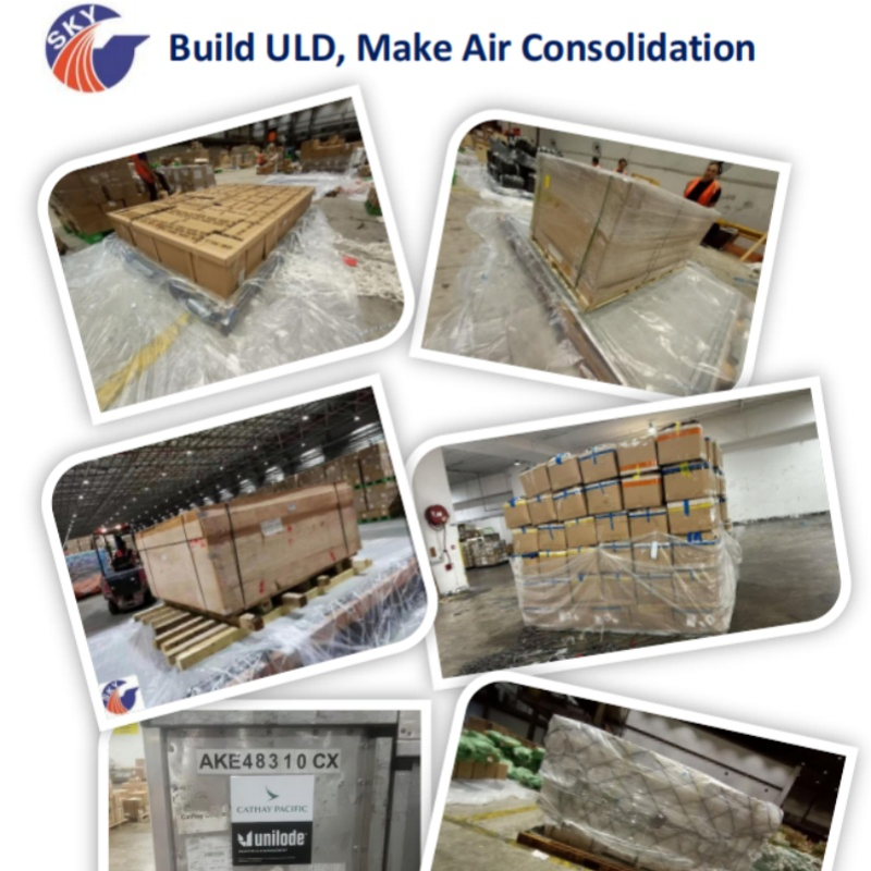 Roro Shipping for New Energy Buses/New Energy Vehicles/Excavators/Heavy Trucks/Special Vehicles Shanghai/Shenzhen/Qingdao to UK/Europe/Middle East