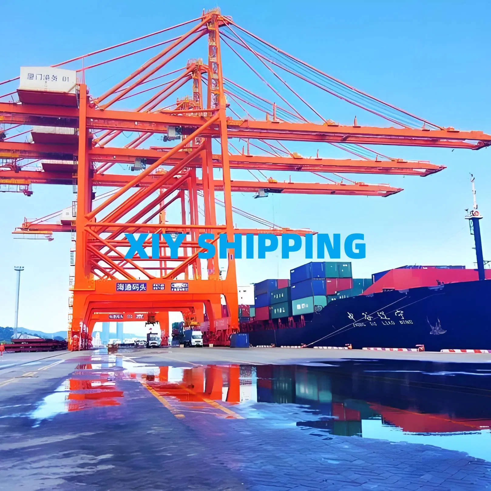 Ningbo Door to Door Shipping Freight to Miami Tampa USA