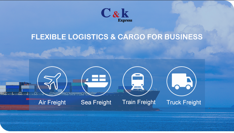 Self Operated E Commerce Ocean Freight Forwarder China USA DDP Door Door Full Container Load Shipping Agent Competitive