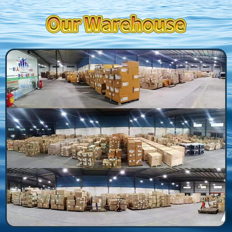 China to Venezuela Cargo Service DDU Delivery Ocean Freight