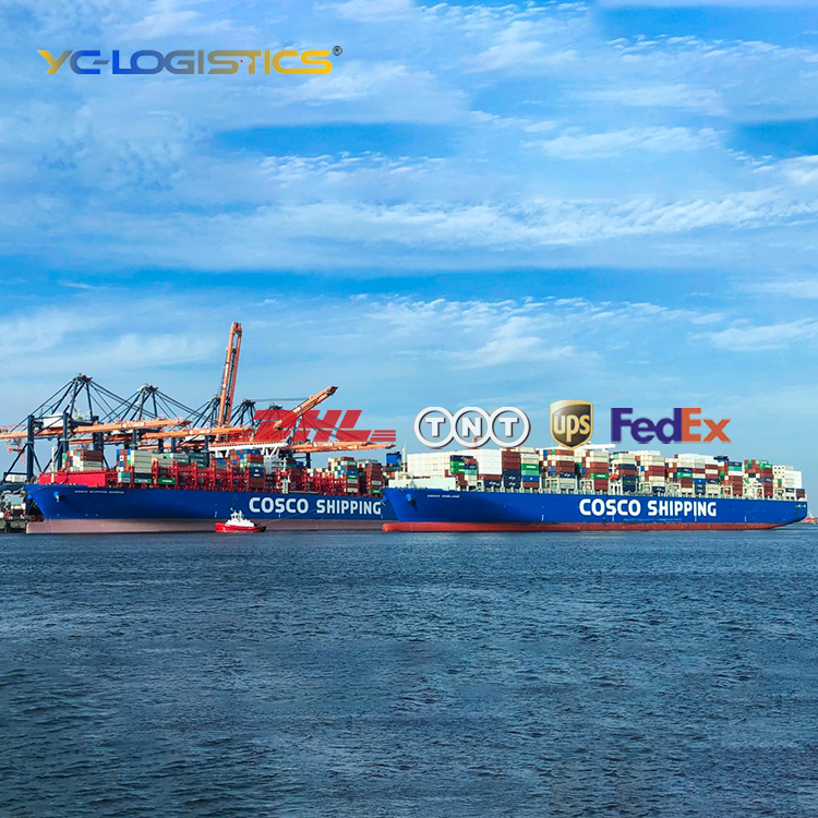 Door To Door Shipping Sea Freight Agent Forwarding Agent China Qingdao Shenzhen Ningbo Shanghai Port Logistics Trucking Ddp