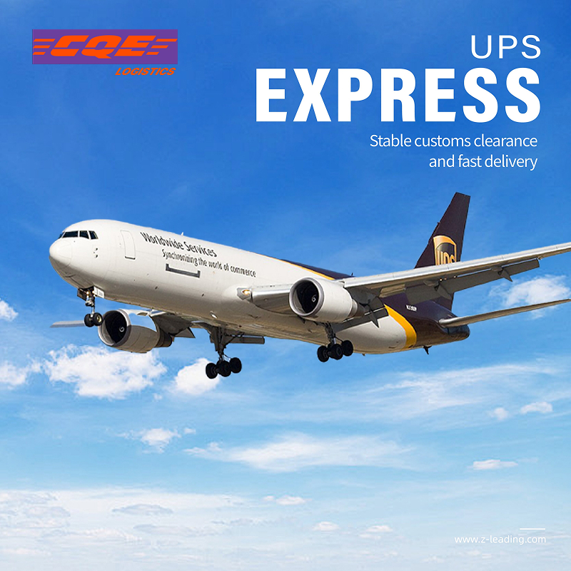 Charter Service Pioneer Logistics Shipping Agent Customized Logistics Solutions Customs Clearance Services for Air+Express