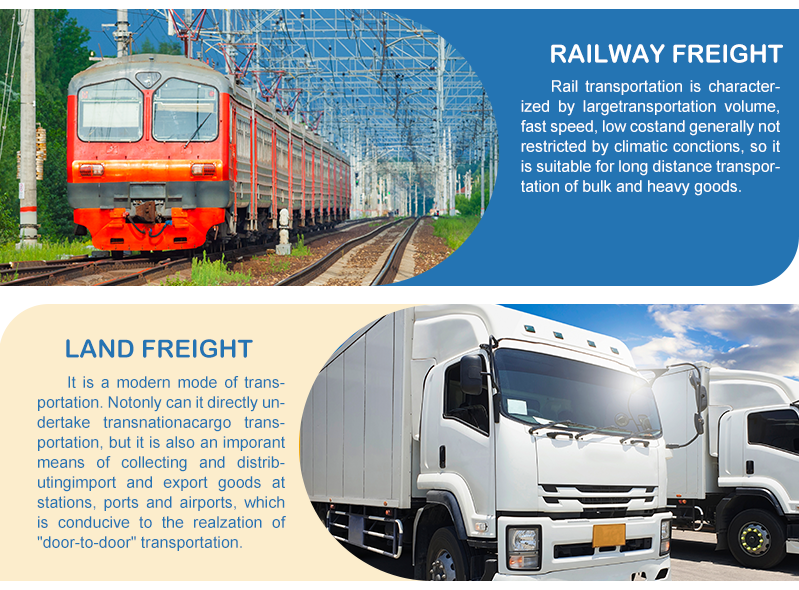 Self Operated E Commerce Ocean Freight Forwarder China USA DDP Door Door Full Container Load Shipping Agent Competitive