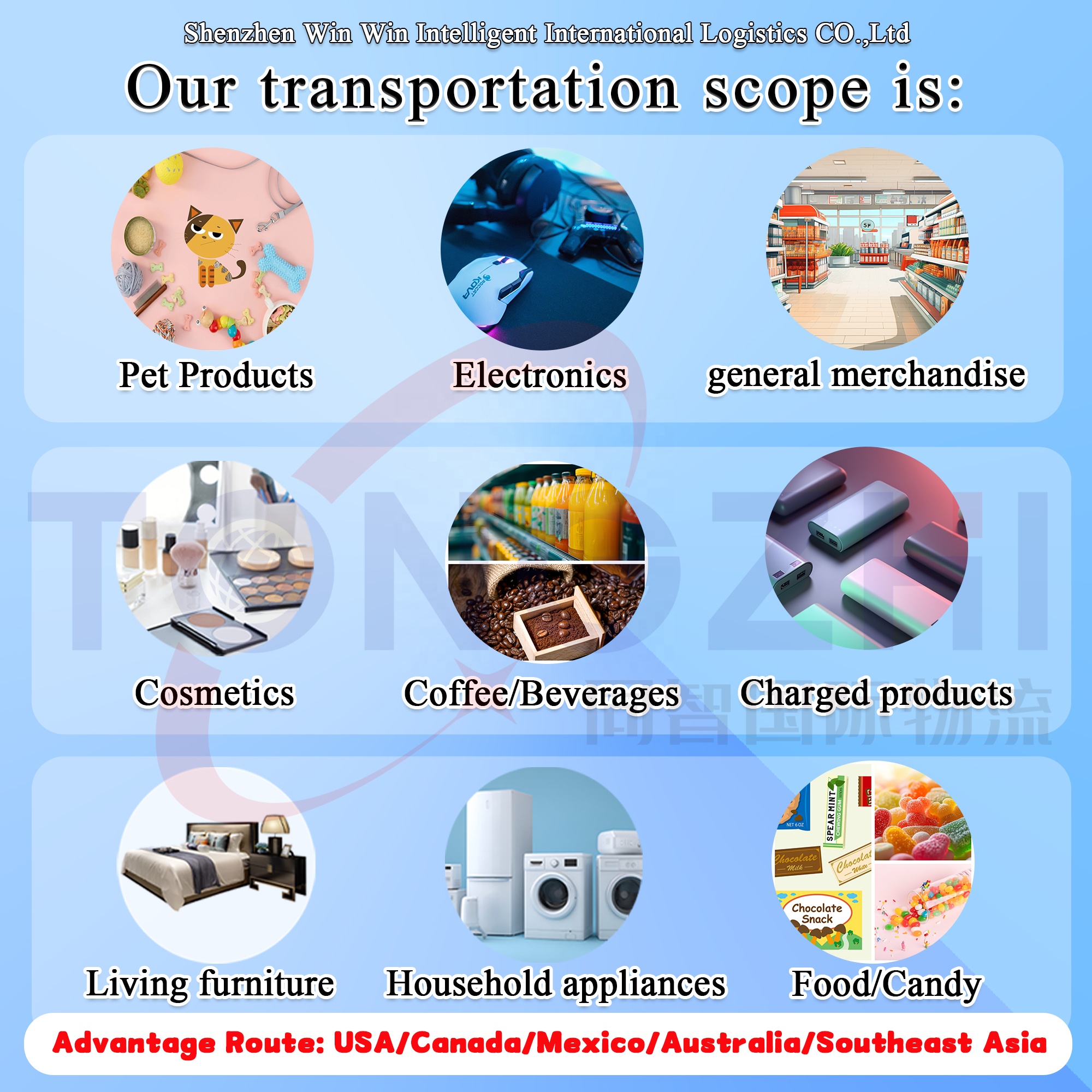 International Sea Freight Forwarder for FCL DDP to Europe Full Container Load Shipping Agent