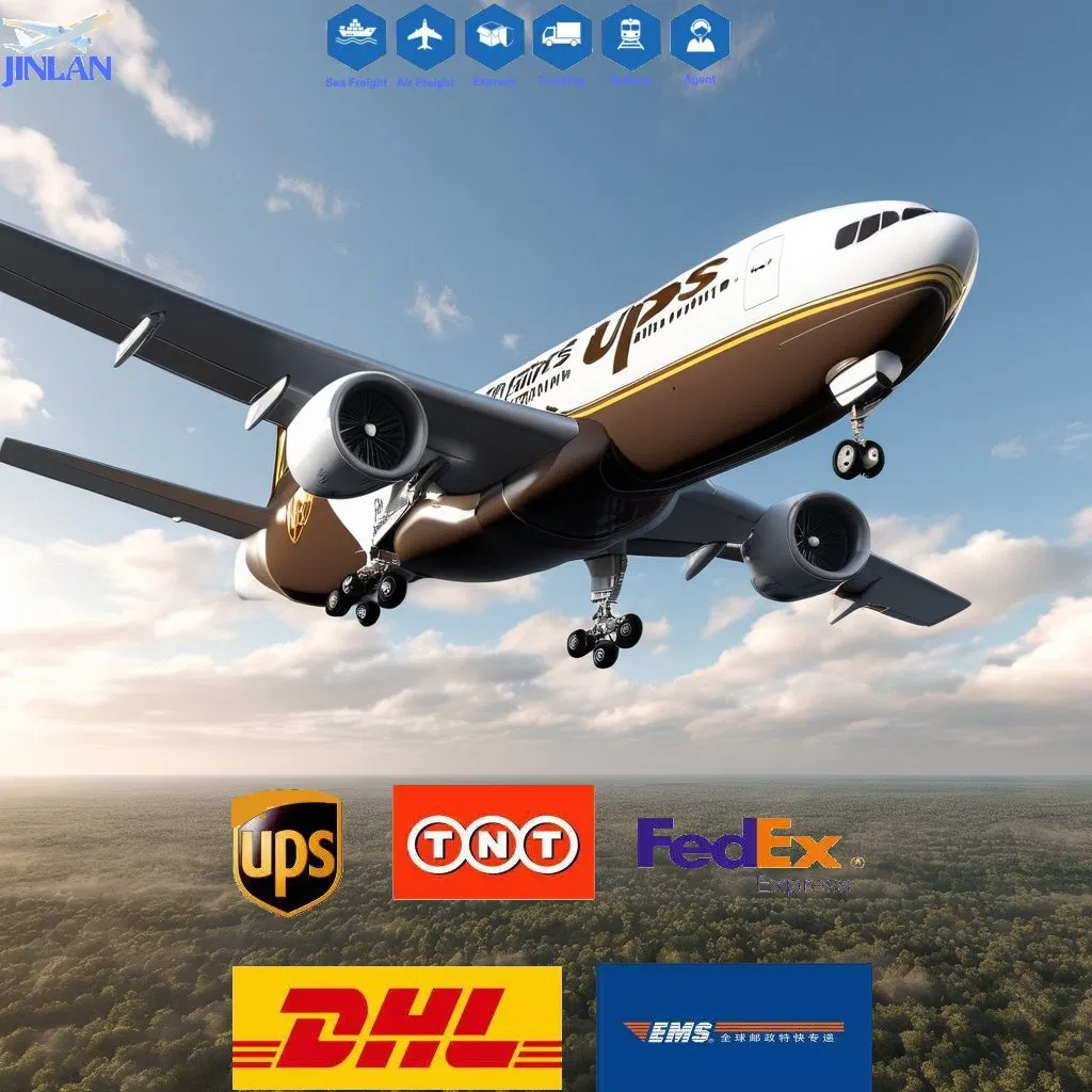 Free Consolidation From China to Worldwide for Express Delivery DDP Dropshipping for Temu Tk