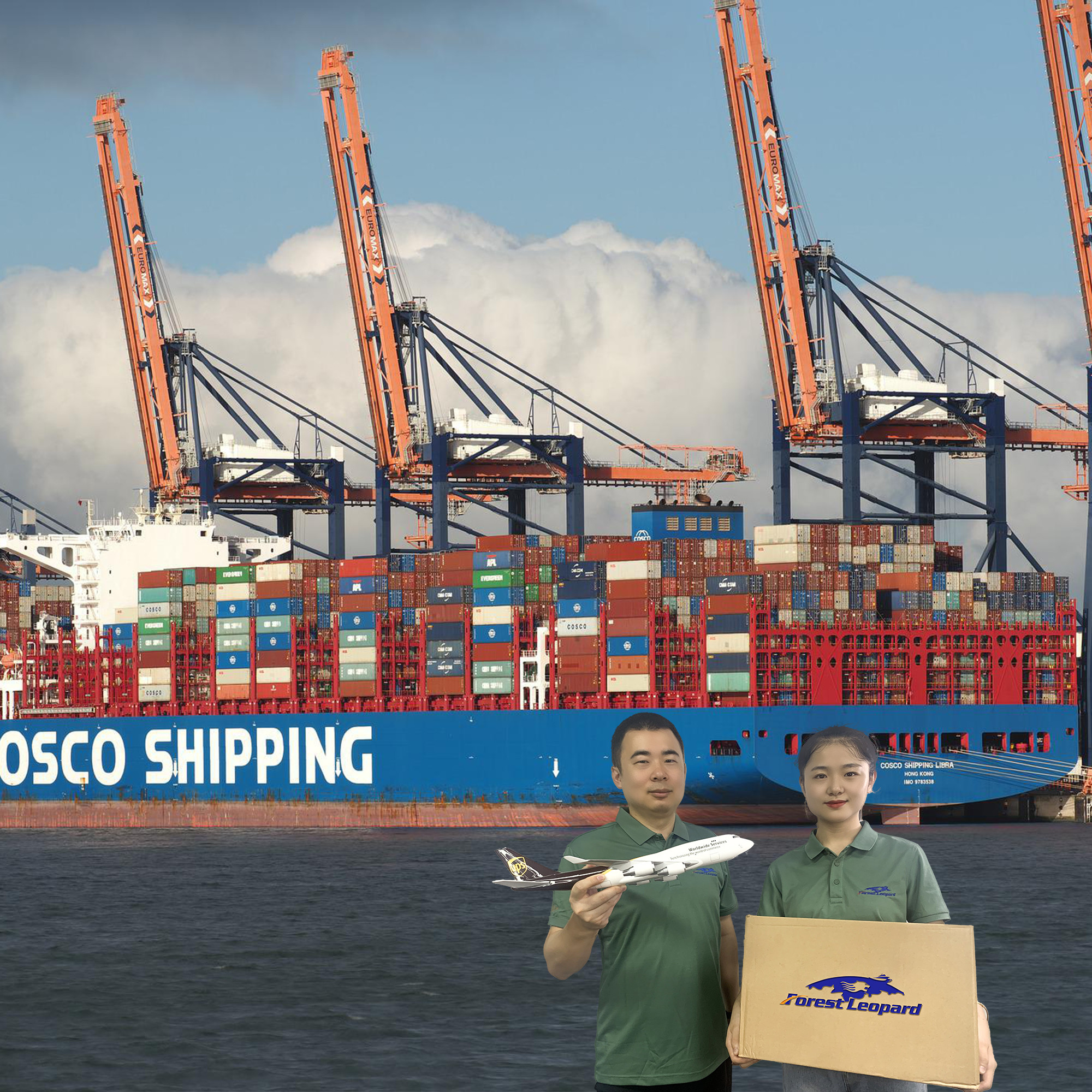 Cheapest FBA To USA Door To Door Air Sea Shipping Service Agent Freight Forwarder Ddp From China To Germany Canada Japan