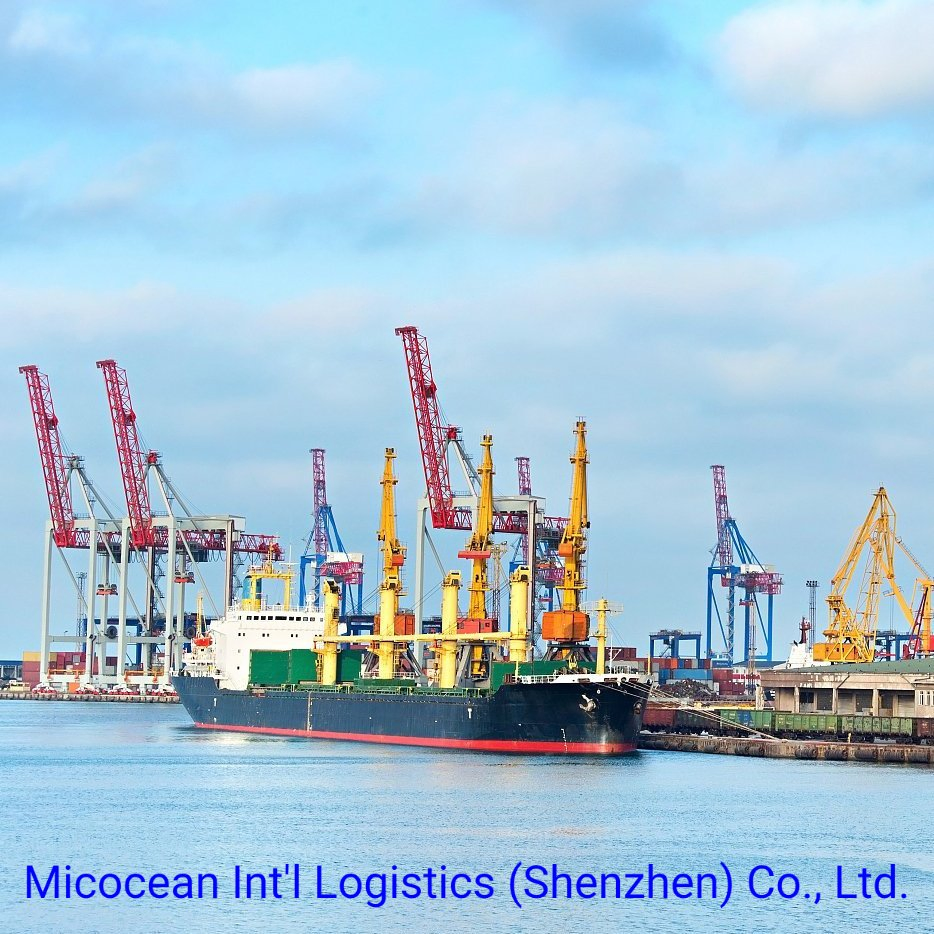 Reliable Ocean FCL Shipping Service From China to Johannesburg/Port Elizabeth, South Africa