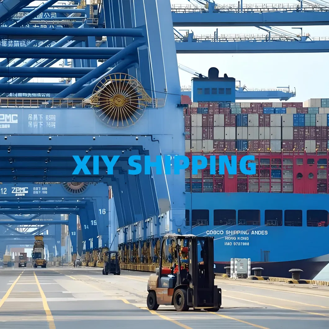 Shanghai Ningbo 20gp 40hq LCL Container Freight to Basel Zurich Switerland