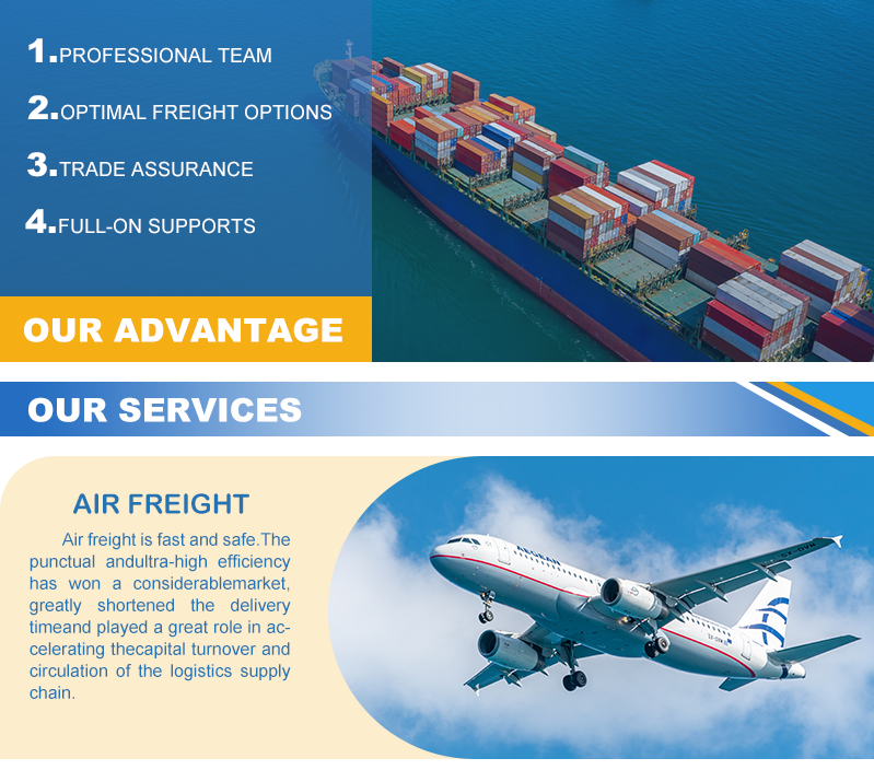 Self Operated E Commerce Ocean Freight Forwarder China USA DDP Door Door Full Container Load Shipping Agent Competitive