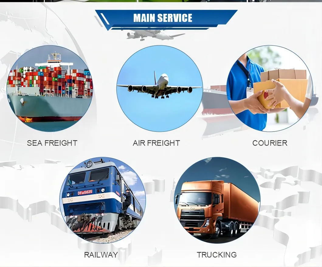 Sea Freight Logistics Service