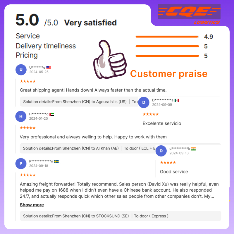 Charter Service Pioneer Logistics Shipping Agent Customized Logistics Solutions Customs Clearance Services for Air+Express