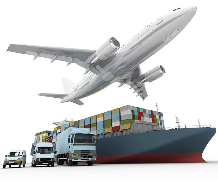 China Shipping Agent/Freight Forwarder Sea Freight FCL From China to NhavaSheva INDIA 20ft 40ft with Insurance & 24/7 Support