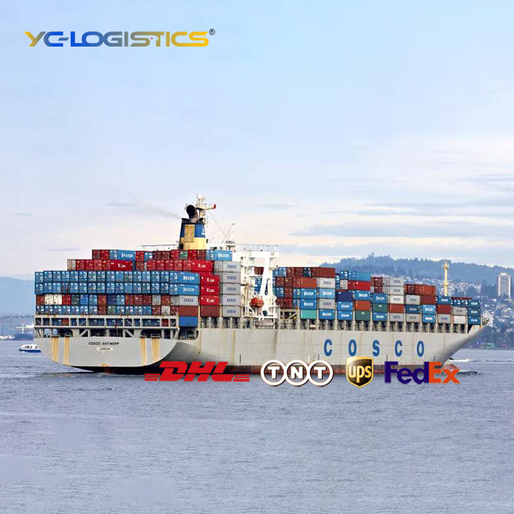 Door To Door Shipping Sea Freight Agent Forwarding Agent China Qingdao Shenzhen Ningbo Shanghai Port Logistics Trucking Ddp