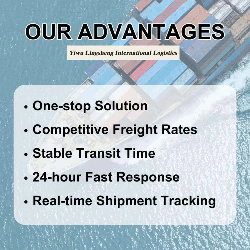DDP Ocean Shipping Services to Oman Via Salalah Port for Timely Delivery
