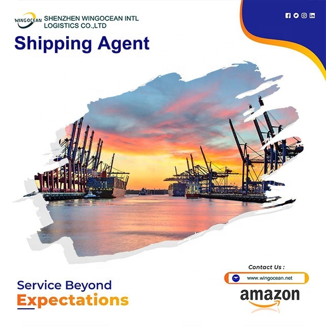 Worldwide Ocean Logistics Service Door to Door Freight Forwarder Sea Shipping Agent From China to USA Panama Haiti Jordan