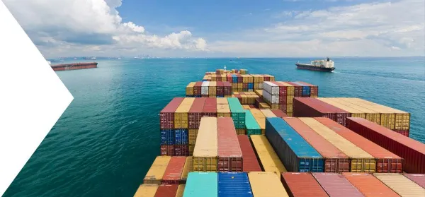 Ocean Sea Freight Services