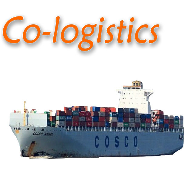 Fast Door to Door Ocean Shipping Agent DDP Delivery Freight Forwarder by Sea From China to Brazil