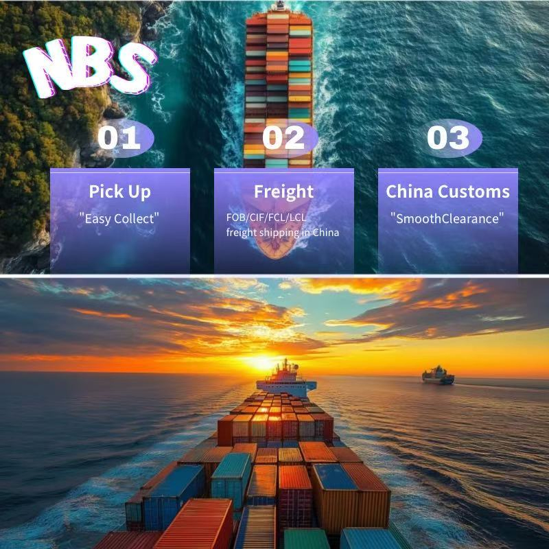 Pakistan Sea Freight Shipping Services From China/Fob/DDP/DDU to Pakistan, CIF Servies in China, FCL/LCL Freight Shipping in China to Karachi Port/Gwadar Port