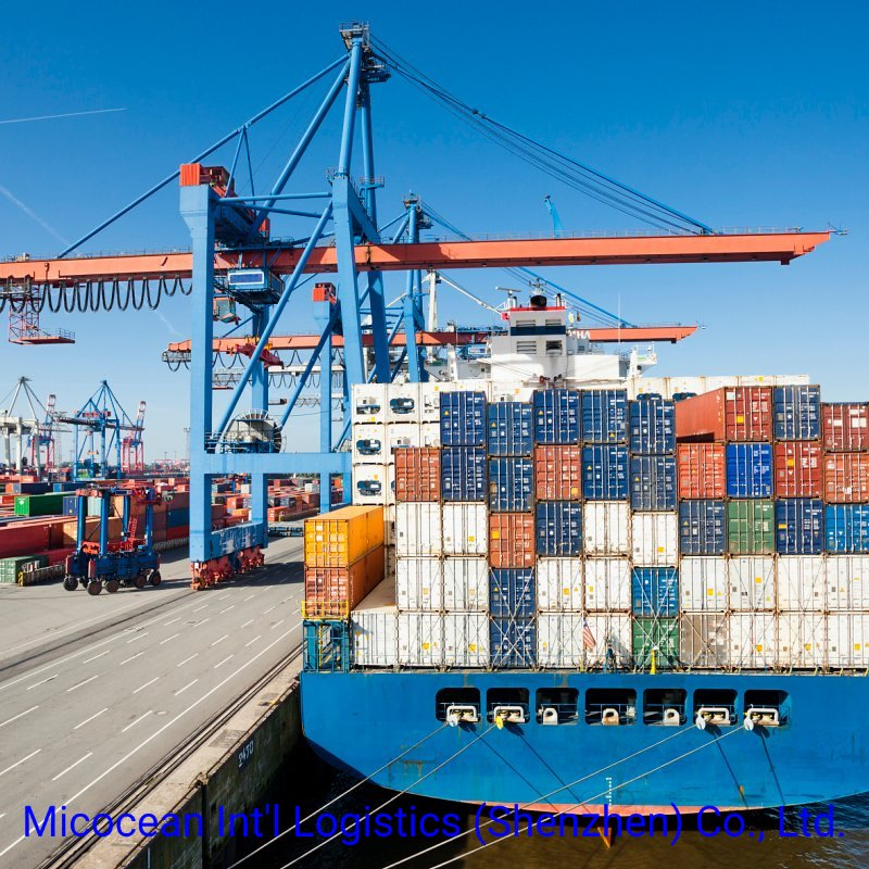 Reliable Ocean FCL Shipping Service From China to Johannesburg/Port Elizabeth, South Africa