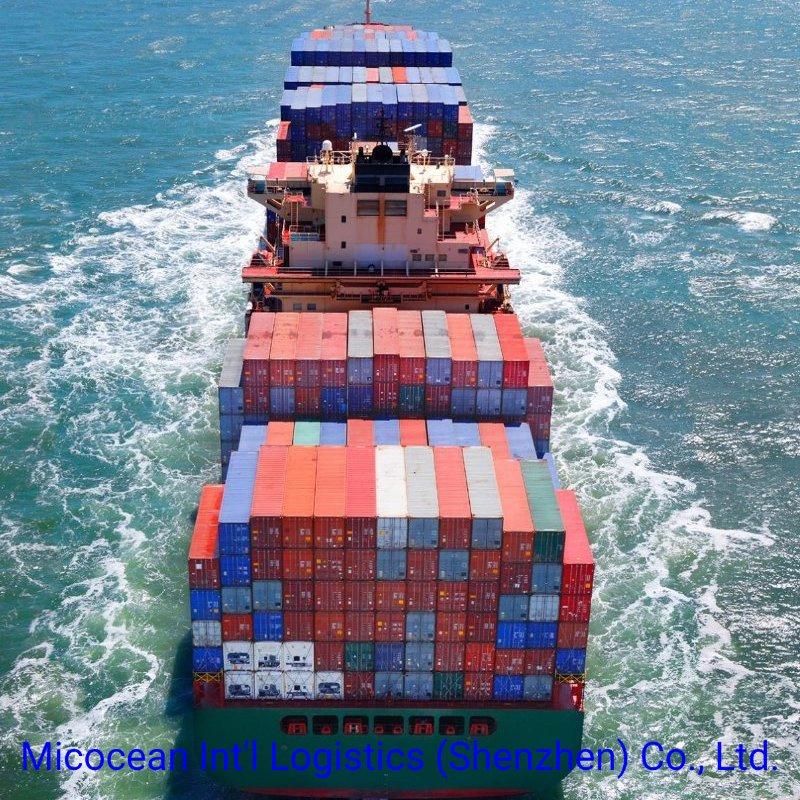 Reliable Ocean FCL Shipping Service From China to Johannesburg/Port Elizabeth, South Africa