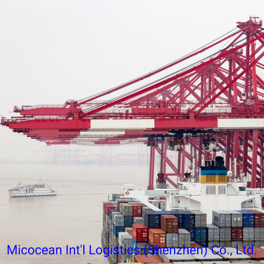Reliable Ocean FCL Shipping Service From China to Johannesburg/Port Elizabeth, South Africa