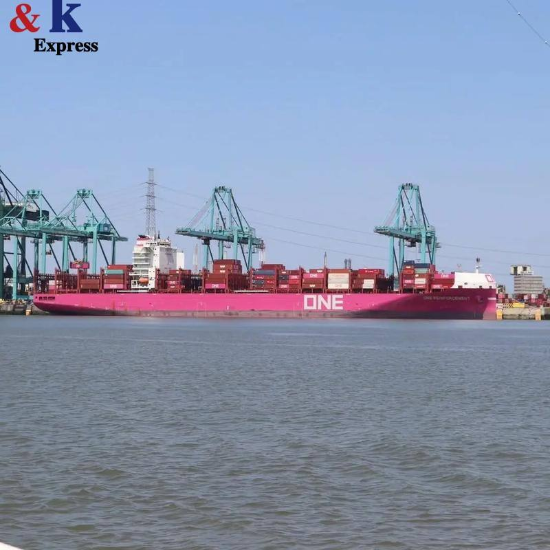 CNK Self Operated E Commerce Ocean Freight Forwarder China USA DDP Door Door Full Container Load Shipping Agent Competitive