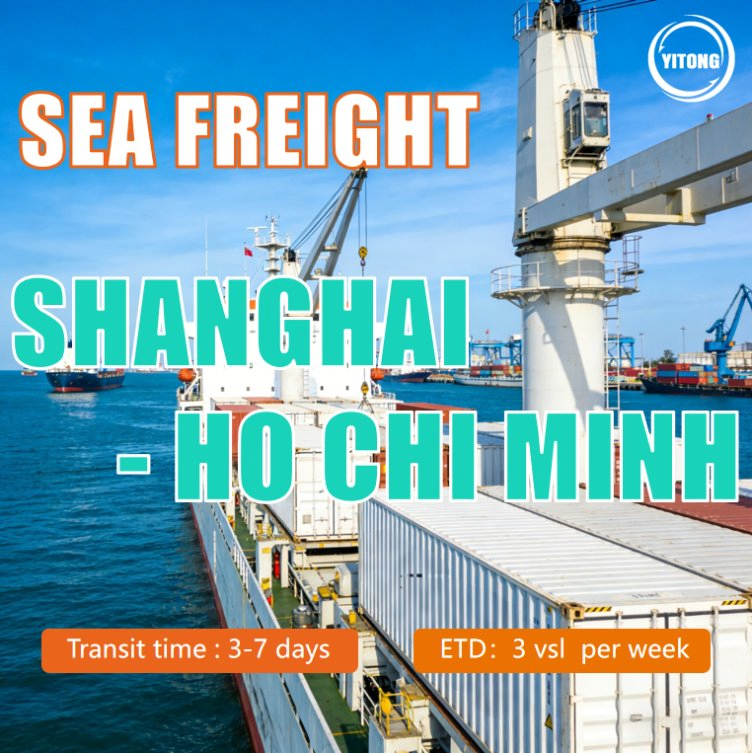 Shipping Cargo Sea Forwarder Freight Forwarding Shipping Sea Shipping Ocean Freight Shipping From Guangzhou to Ho Chi Minh City Port Vietnam