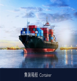 Reliable Sea Freight Forwarding From Shanghai to Algeria